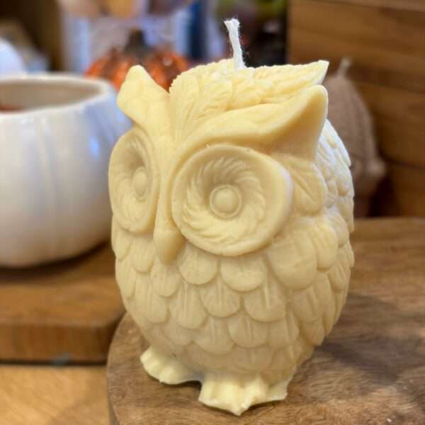 Bougie Hibou
